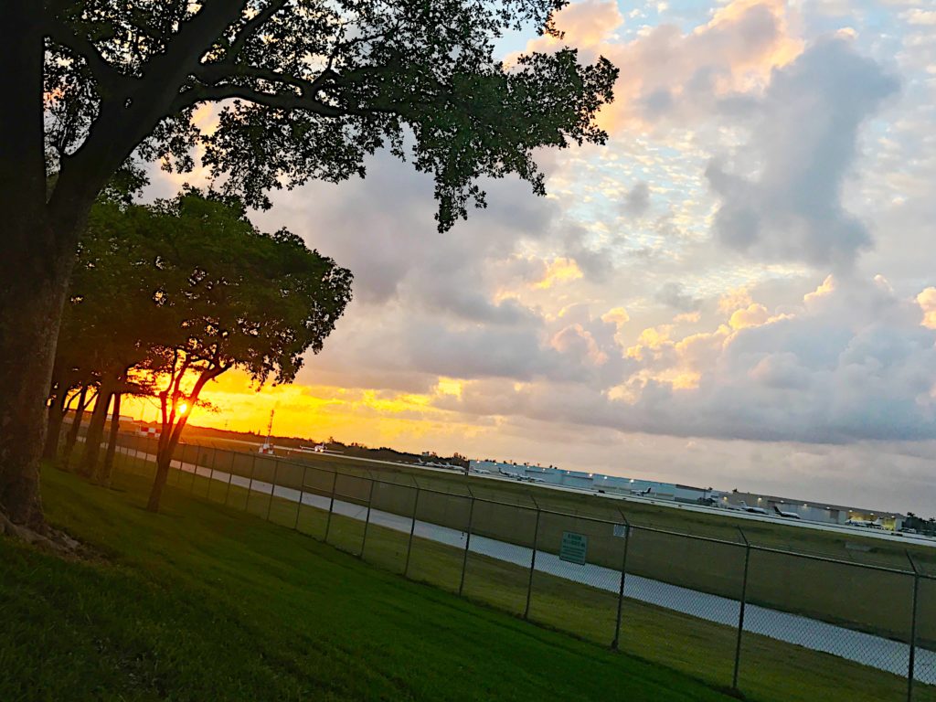 Discover Dania Beach Dania Beach Development, Real Estate and Fun!