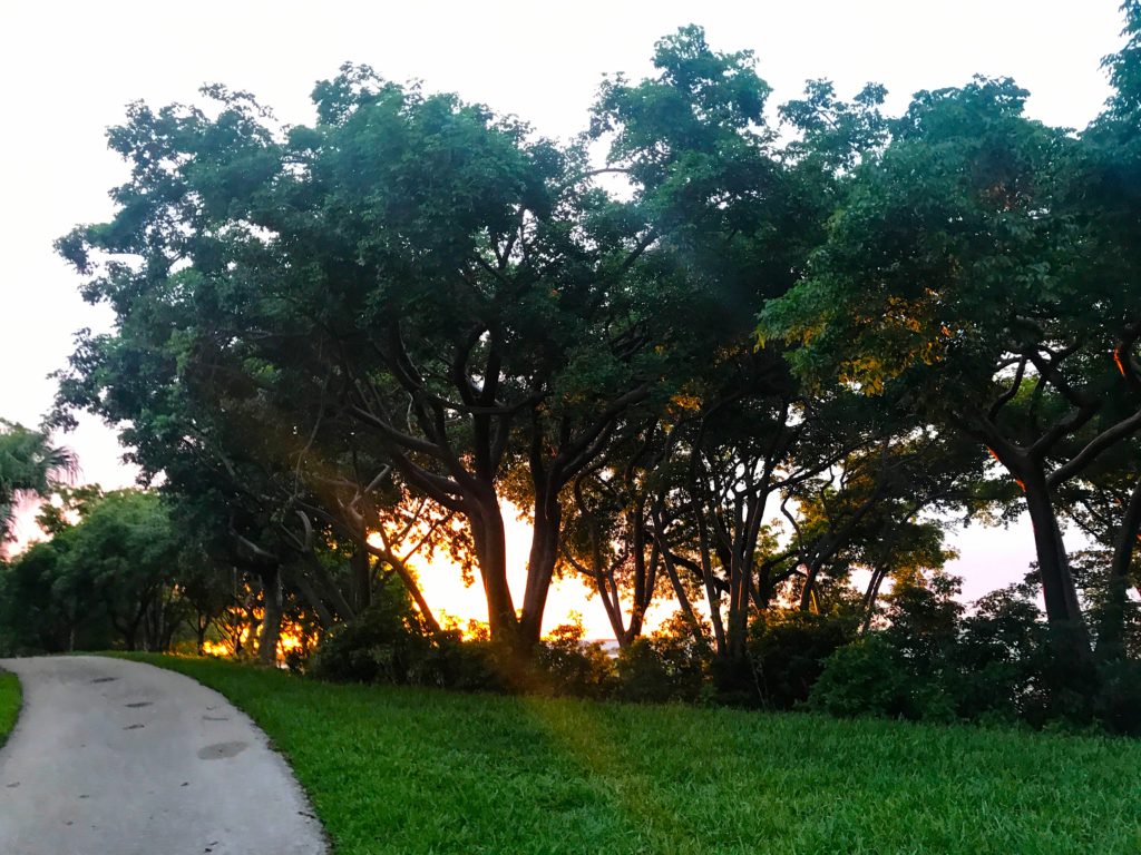 Discover Dania Beach Dania Beach Development, Real Estate and Fun!