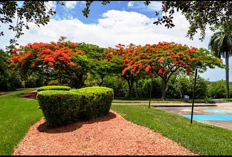 Discover Dania Beach Dania Beach Development, Real Estate and Fun!